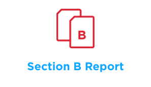 Section B Report