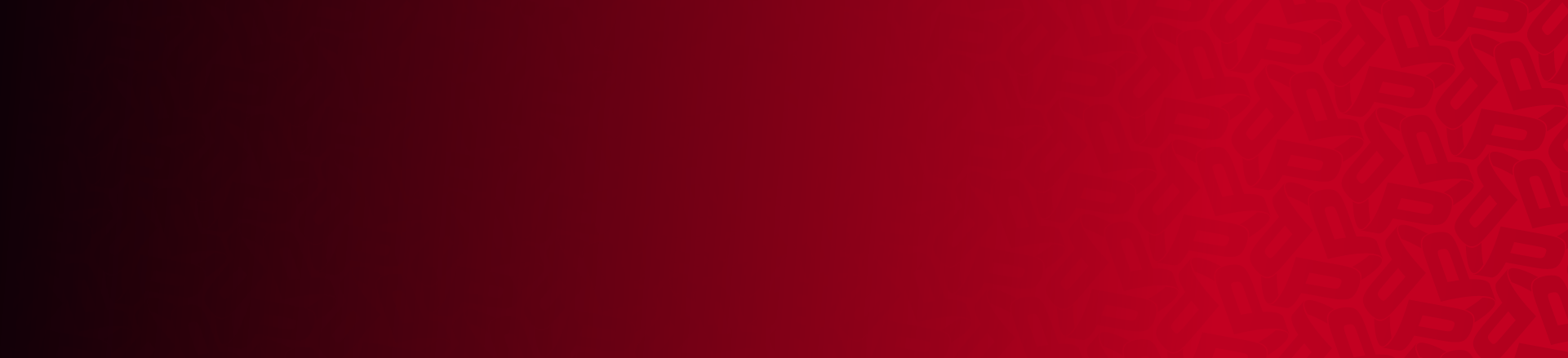 PPP_BackgroundPattern_Red-1